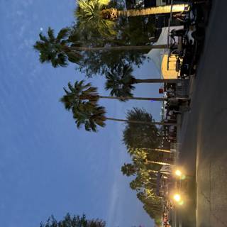 Twilight at Empire Polo Club