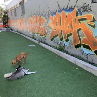Two Dogs at the Skate Park