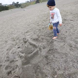 Young Boy Explores Gray Sand Beach with Bucket