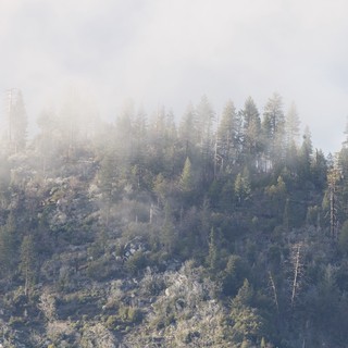 Misty Forest Ridge in Yosemite Winter