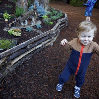Botanical garden or children's garden attraction