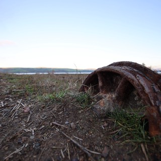 Weathered Horseshoe on Coastal Ground at Dawn