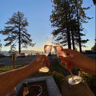 Sunset Champagne Toast in the Grove