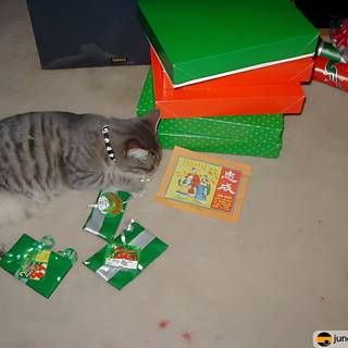 Purrfect Presents