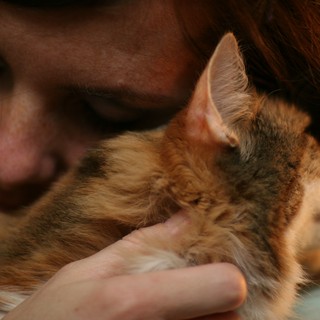 portrait-pet-photography-candid-close-up