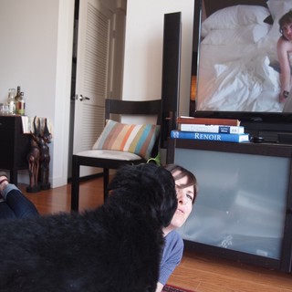 Dog Interrupts Movie Night on Living Room Floor