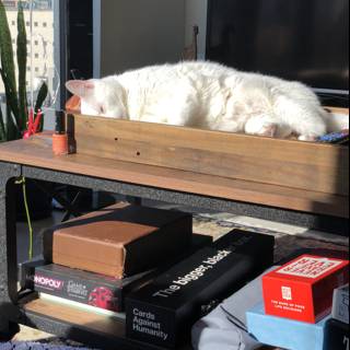 Cat Nap on the Table