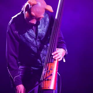 The Bassist in Action