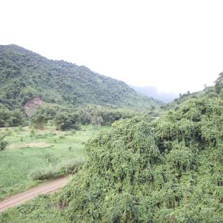 A Serene View of the Lush Green Slopes