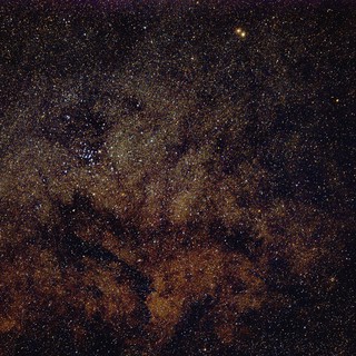 scorpius