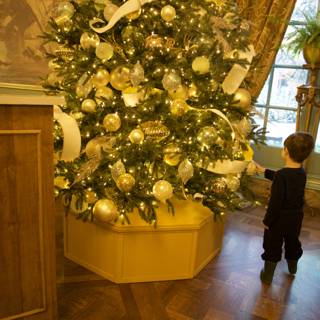 Enchanted by the Christmas Glow