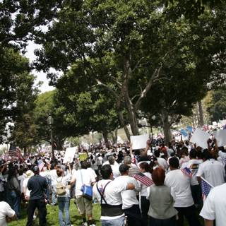 Protesters Gather in the Park