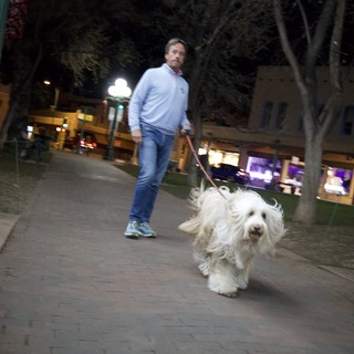 Evening Walk with Fluffy White Dog in Urban Plaza