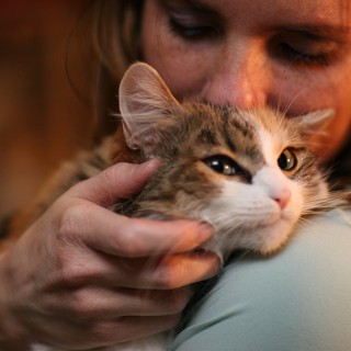 portrait-close-up-pet-photography-candid