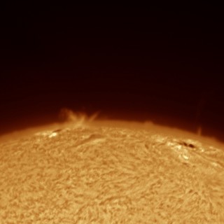 Solar Surge Prominence and Jet Over Sun's Limb