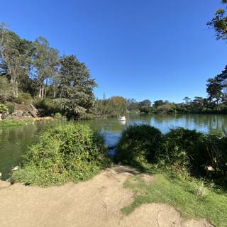Serene Waters of Golden Gate Park