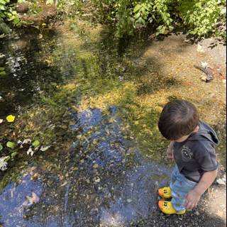 Curious Steps in Nature