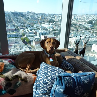 high-rise residential apartment