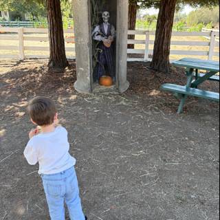 Curious Encounter in the Park