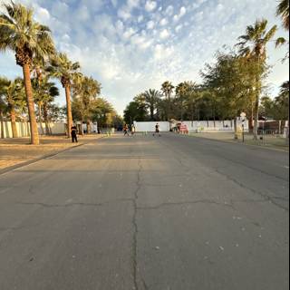 Oasis at Sunset