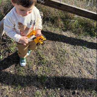 Adventure in the Meadow