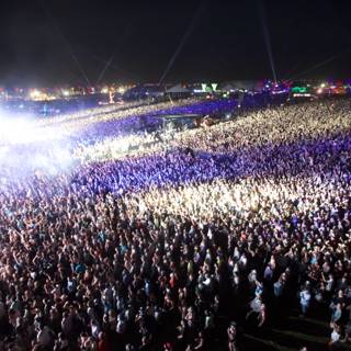 The Electric Crowd at Coachella 2014