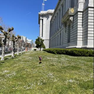 Pup's Sprint towards San Fran's Architectural Masterpiece