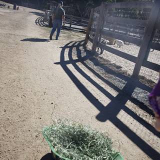 Morning Chores at Carmel Valley Ranch