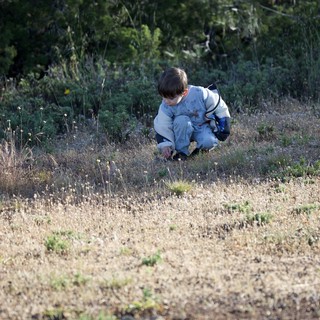 Young Explorer Discovers Nature at Mount Diablo