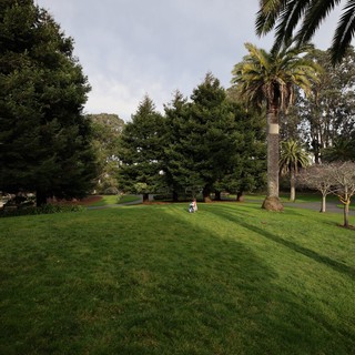 Solitary Figure in Expansive Park Landscape