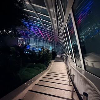 Modern Architectural Stairway with Neon-Lit Sky Garden at Night