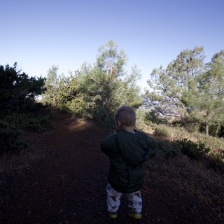 Young Explorer on a Sunlit Mountain Trail