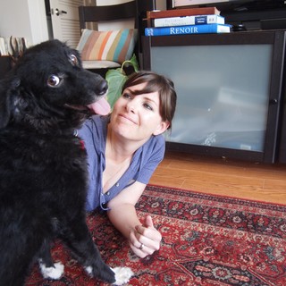 flat-coated-retriever