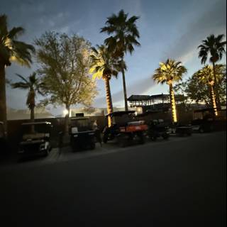 Evening Silhouettes at Empire Polo Club