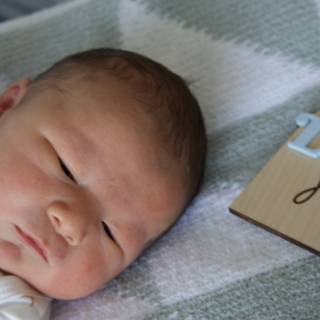 Welcome to the World, Leland James