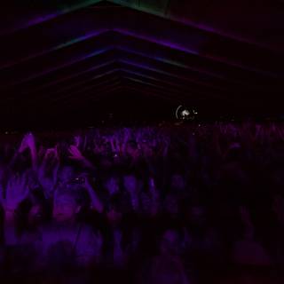Coachella Crowd Glows in Purple
