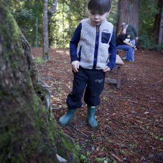 Exploring the Enchanted Forest