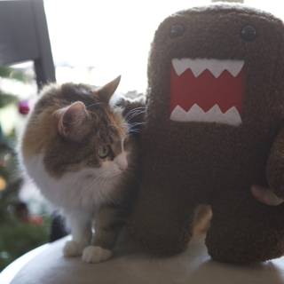 Cat and Stuffed Toy