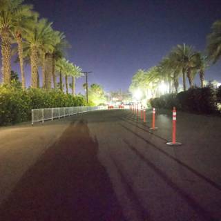 Midnight Serenity at Coachella 2024
