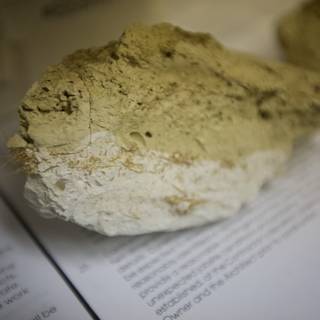 Documentation on a rocky surface