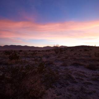 Serene Desert Sunset