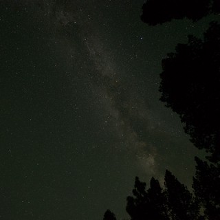 Milky Way Rising Over Tahoe Forest Silhouettes