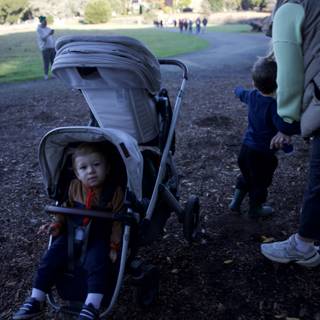 Autumn Stroll at Thistlewyck
