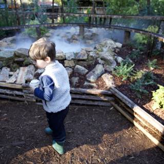 Exploring Thistlewyck's Enchanted Garden