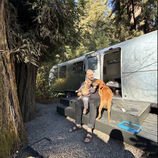 Cozy Moments in the Redwood Retreat
