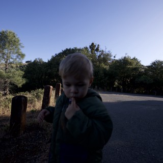 Curious Toddler Exploring Mount Diablo's Rustic Trail