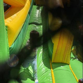 Adventure Down the Inflatable Slide