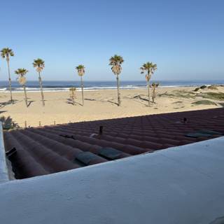 Paradise by the Pacific