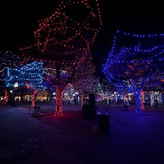 City of Christmas Lights