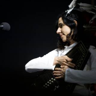 PJ Harvey and the Squeezebox